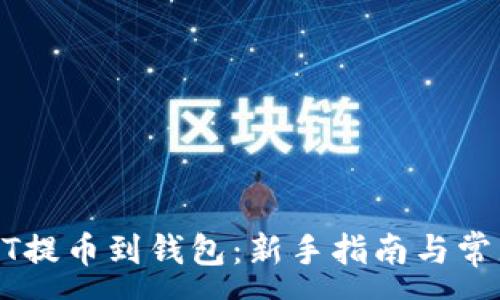 :
如何将USDT提币到钱包：新手指南与常见问题解答