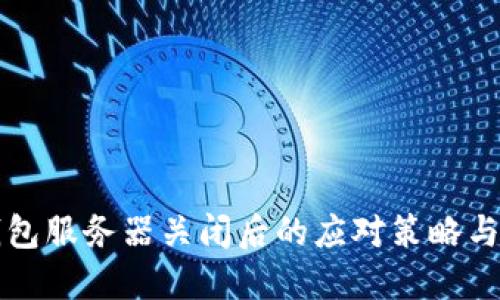 比特币钱包服务器关闭后的应对策略与解决方案