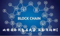 比特币冷钱包丢失后，该