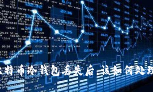 比特币冷钱包丢失后，该如何处理？