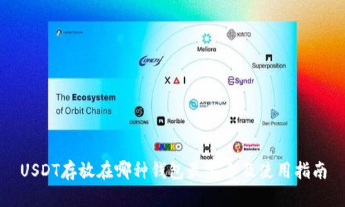 USDT存放在哪种钱包最安全及使用指南