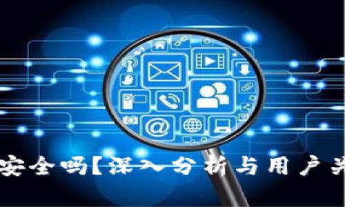 虚拟币上钱包安全吗？深入分析与用户关注的真实答案