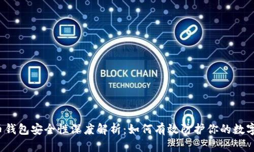 比特币钱包安全性深度解析：如何有效防护你的数字资产？