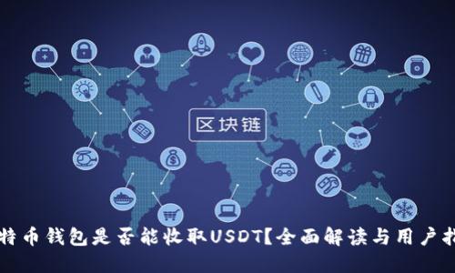 比特币钱包是否能收取USDT？全面解读与用户指南
