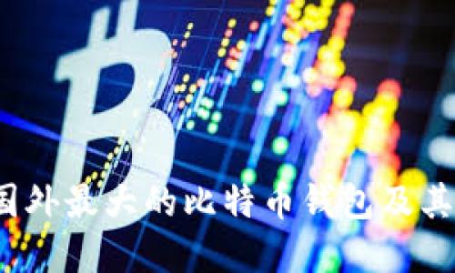 深入探讨：国外最大的比特币钱包及其市场影响力