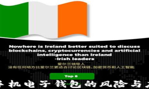 
比特币手机电子钱包的风险与应对策略