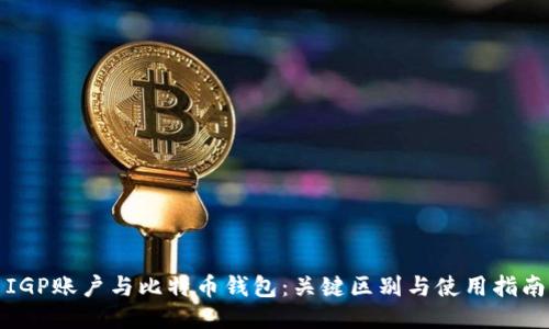 IGP账户与比特币钱包：关键区别与使用指南