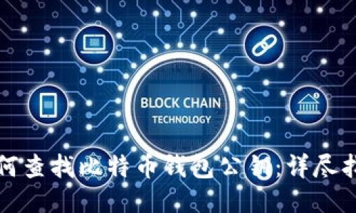 如何查找比特币钱包公钥：详尽指南