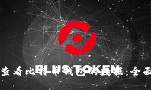 如何查看比特币钱包的数据：全面指南