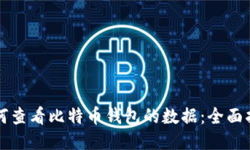 如何查看比特币钱包的数据：全面指南