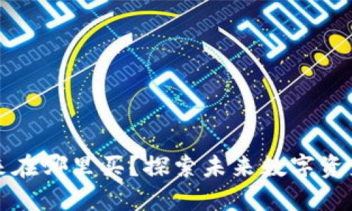 区块链钱包未来在哪里买？探索未来数字资产安全的新选择