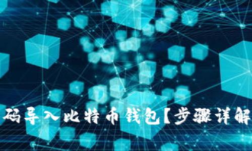 如何使用代码导入比特币钱包？步骤详解与注意事项