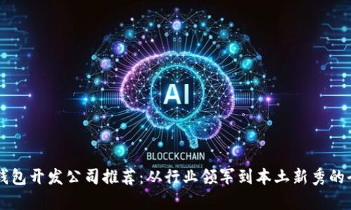 区块链钱包开发公司推荐：从行业领军到本土新秀的全面解析