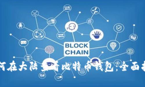 如何在大陆查看比特币钱包：全面指南