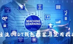 主流USDT钱包推荐与使用指