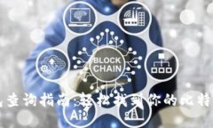 比特币钱包查询指南：轻