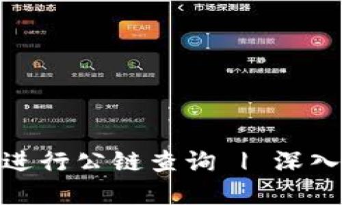 如何使用Tokenim钱包进行公链查询 | 深入了解区块链性能与应用