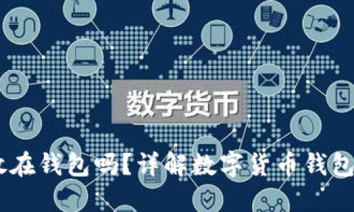 USDT可以放在钱包吗？详解数字货币钱包的基本知识
