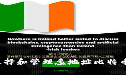 如何选择和管理多地址比特币钱包？