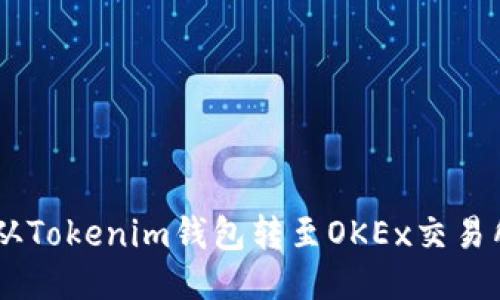 如何将ONT从Tokenim钱包转至OKEx交易所？详细指南