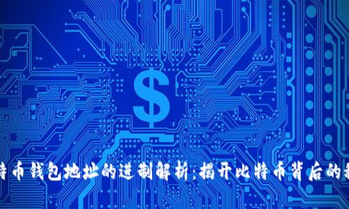 比特币钱包地址的进制解析：揭开比特币背后的秘密