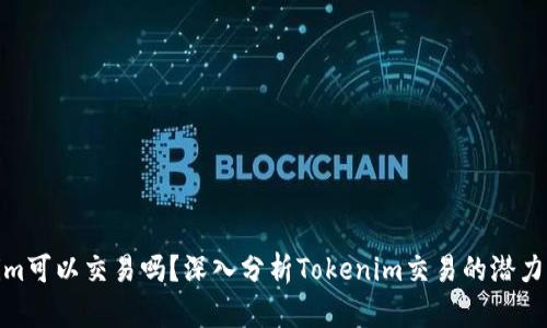 Tokenim可以交易吗？深入分析Tokenim交易的潜力与风险