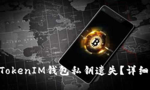 如何应对TokenTokenIM钱包私钥遗失？详细指南与解决方案