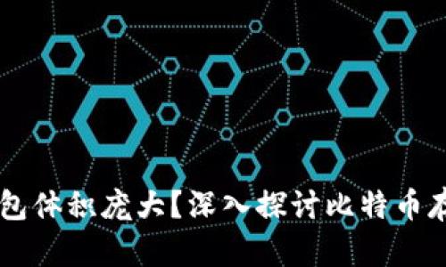 为什么比特币钱包体积庞大？深入探讨比特币存储与安全的关系