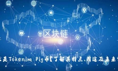 什么是Tokenim Pig币？了解其特点、用途及未来前景
