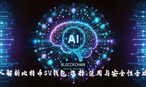 深入解析比特币SV钱包：选择、使用与安全性全攻略