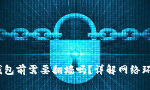 使用TokenTokenIM钱包前需要翻墙吗？详解网络环境对钱包使用的影响