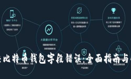 如何解决比特币钱包字段错误：全面指南与解决方案