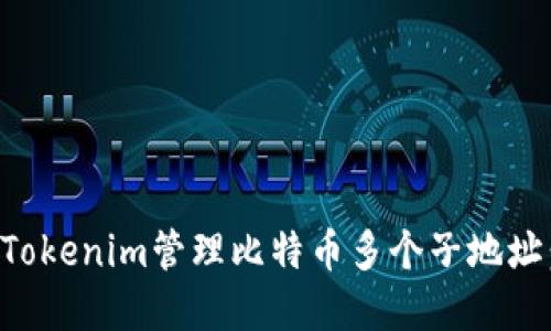 如何使用Tokenim管理比特币多个子地址：完全指南