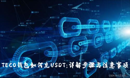 TECO钱包如何充USDT：详解步骤与注意事项