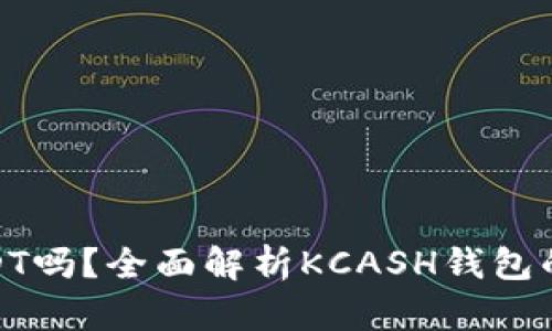 KCASH钱包支持USDT吗？全面解析KCASH钱包的数字货币支持情况