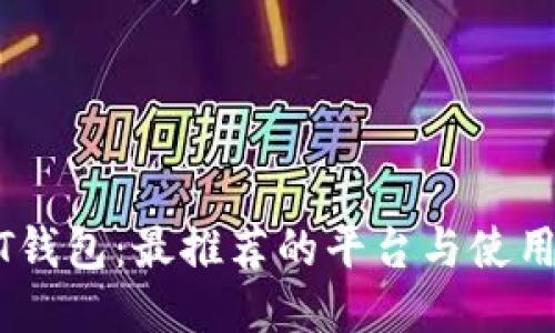 USDT钱包：最推荐的平台与使用指南