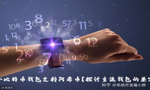 哪个比特币钱包支持阿希币？探讨主流钱包的兼容性