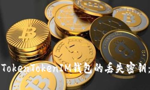如何找回TokenTokenIM钱包的丢失密钥：详细指南