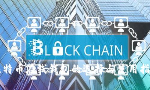 比特币在线钱包的选择与使用指南