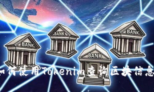 如何使用Tokenim查询区块信息？