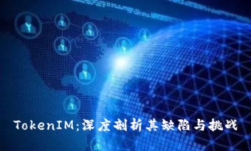 TokenIM：深度剖析其缺陷与挑战