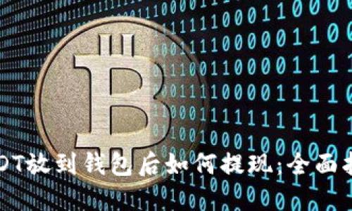 USDT放到钱包后如何提现：全面指南