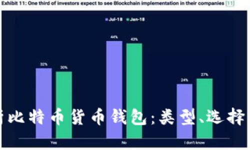 全面解析比特币货币钱包：类型、选择与安全性