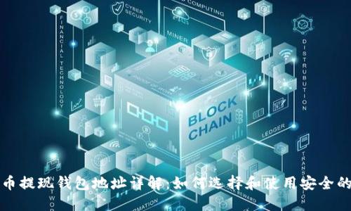 比特币提现钱包地址详解：如何选择和使用安全的钱包
