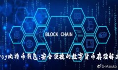 Armroy比特币钱包：安全便