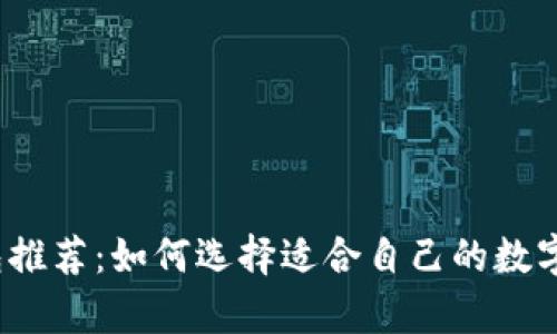 最佳区块链钱包推荐：如何选择适合自己的数字资产存储方式？