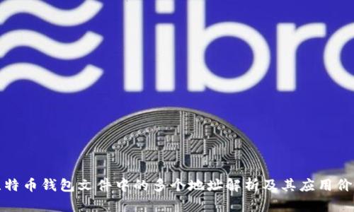 比特币钱包文件中的多个地址解析及其应用价值