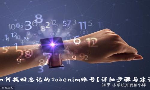 如何找回忘记的Tokenim账号？详细步骤与建议