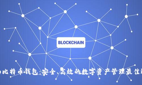 金山比特币钱包：安全、高效的数字资产管理最佳选择