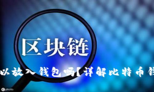 半枚比特币可以放入钱包吗？详解比特币钱包的存储能力